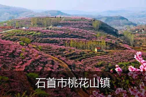 石首市桃花山镇