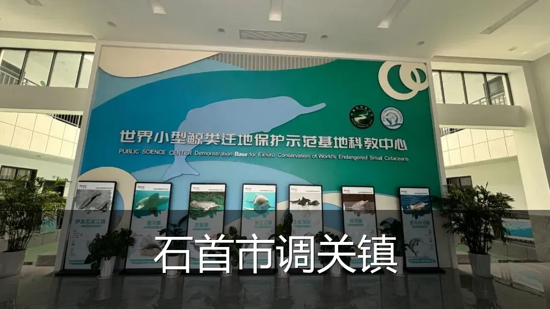 石首市调关镇